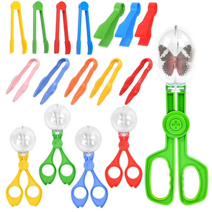 Outdoor Adventure Insect Colle - Outdoor Adventure Education 评论和价格