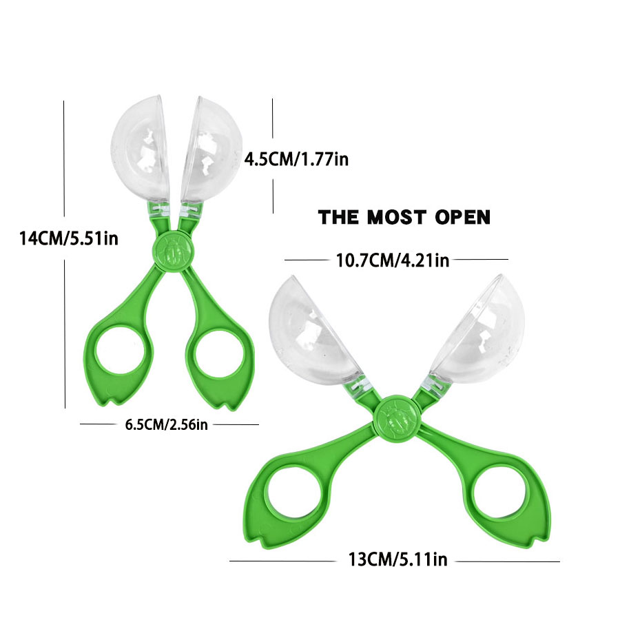 Outdoor Adventure Insect Colle - Outdoor Adventure Education 评论和价格