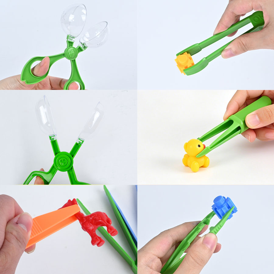 Outdoor Adventure Insect Colle - Outdoor Adventure Education 评论和价格
